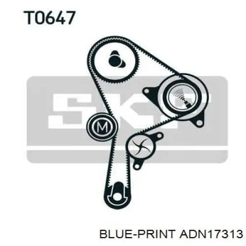 ADN17313 Blue Print kit correa de distribución