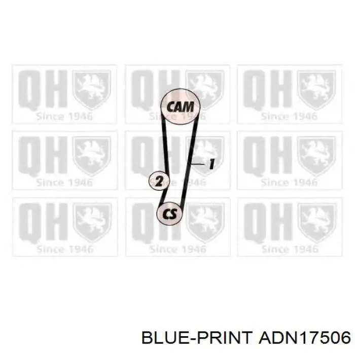 ADN17506 Blue Print correa distribucion