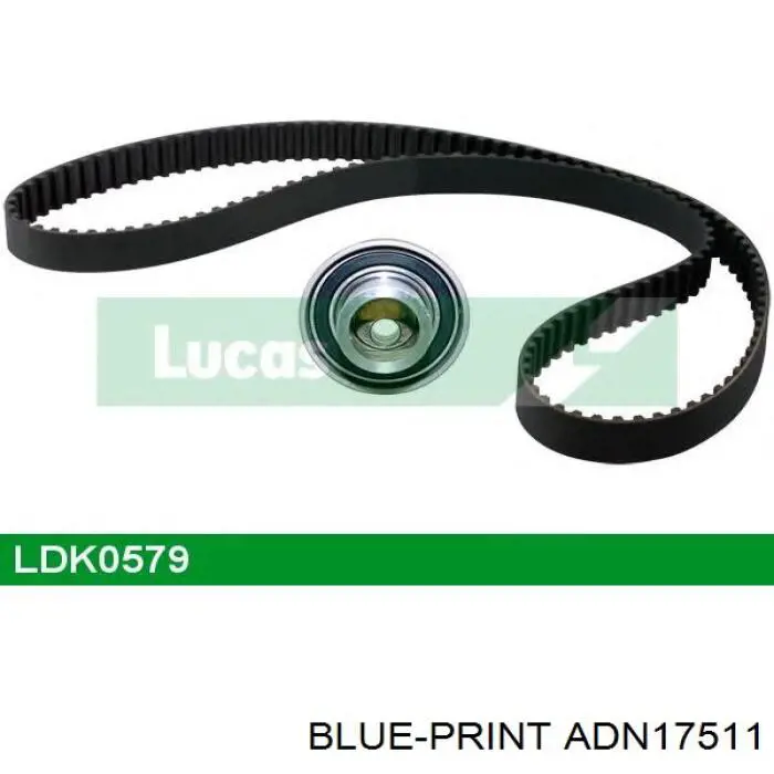Comprar ADN17511 Blue Print Correa distribución
