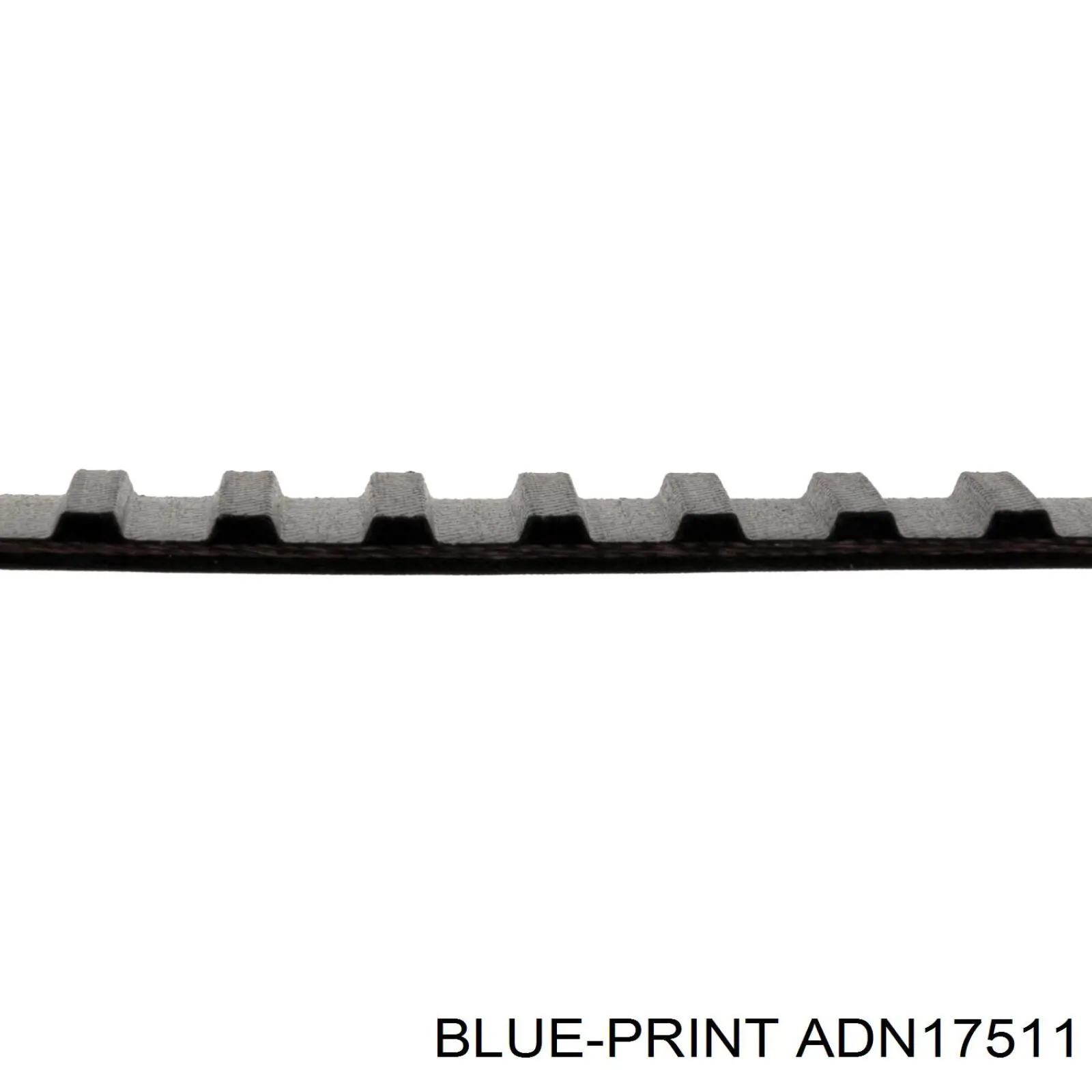 ADN17511 Blue Print correa distribucion