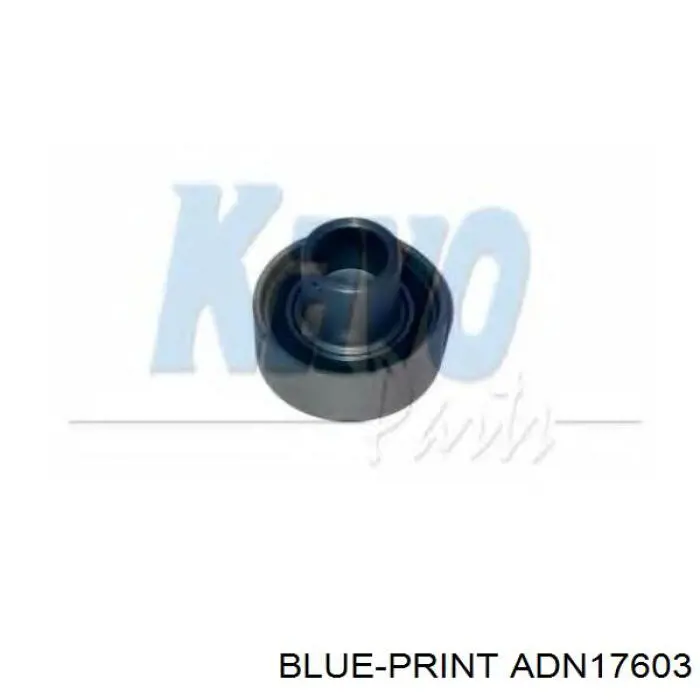 Tensor correa distribución GT36812 NTN