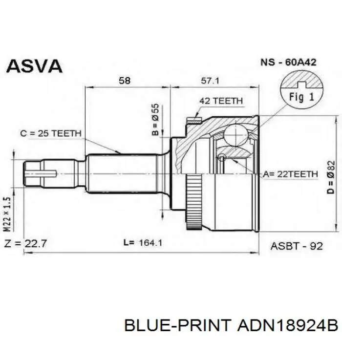 ADN18924B Blue Print junta homocinética exterior delantera