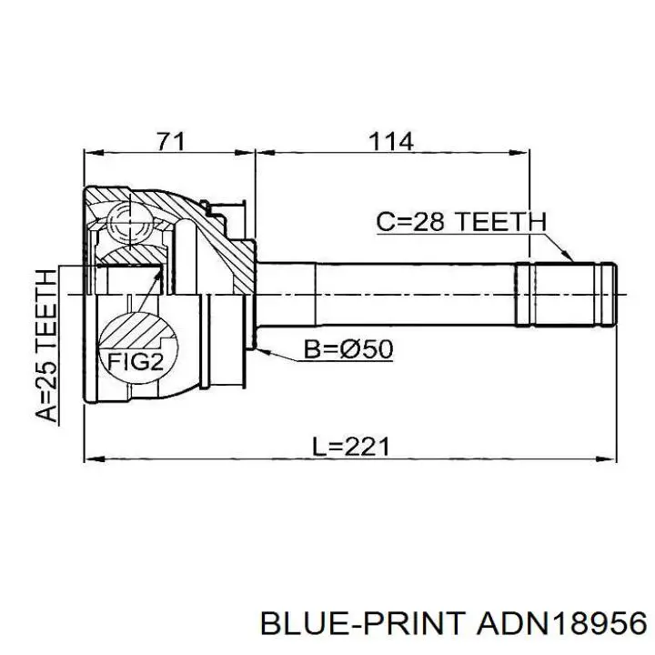 Junta homocinética exterior delantera Blue Print ADN18956 precio, desde 45,75 EUR