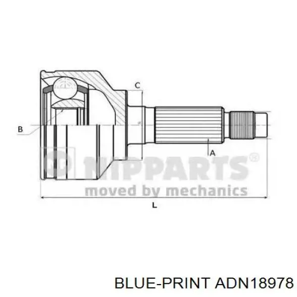 ADN18978 Blue Print junta homocinética exterior delantera