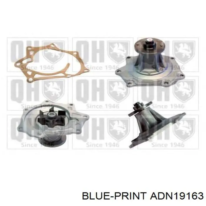 Comprar N151N49 NPS Bomba de agua para motor