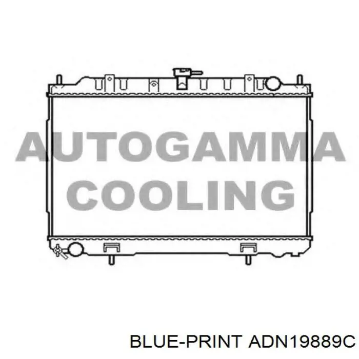 RA68703Q Signeda radiador refrigeración del motor