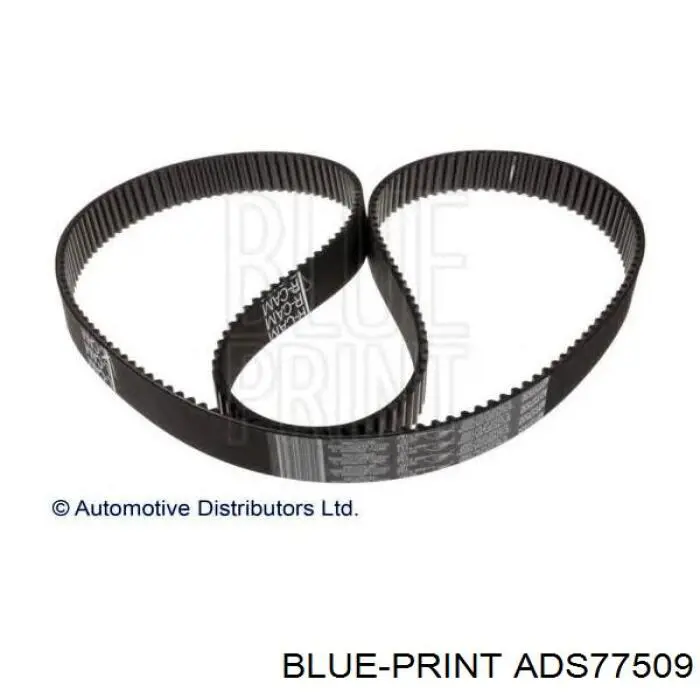 Correa distribución A702YU26MM SUN