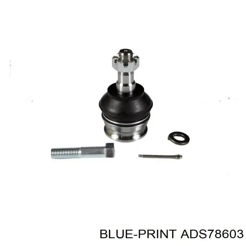 Rótula inferior de suspensión Blue Print ADS78603 precio, desde 12,54 EUR