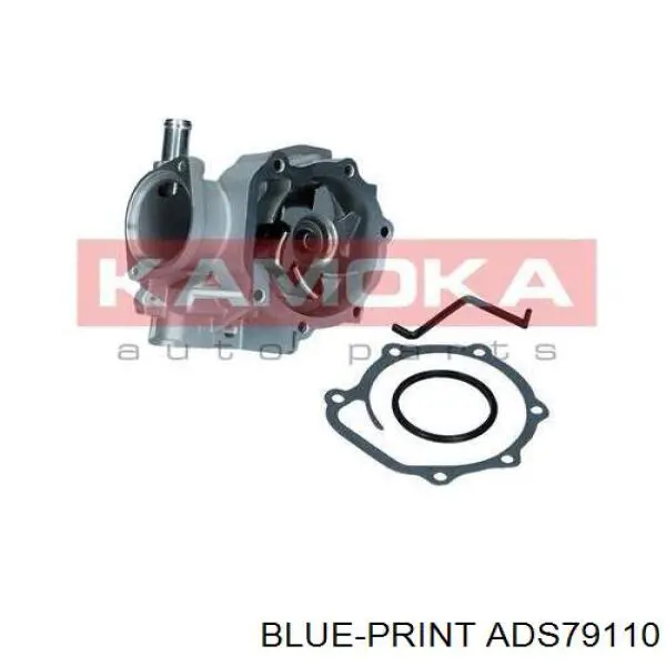 Motor de agua Blue Print ADS79110