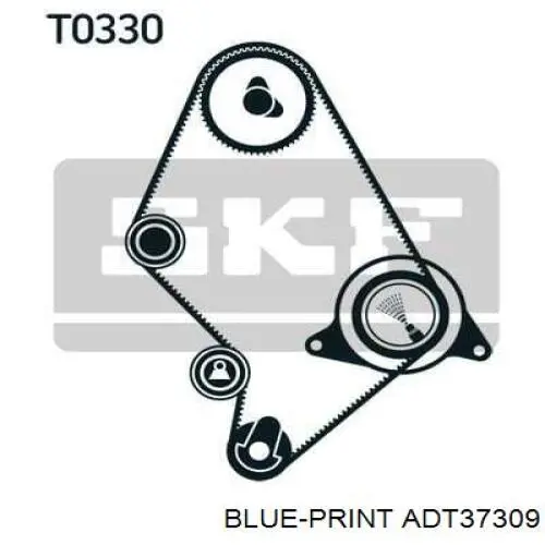KDDT01 Japan Parts Kit correa de distribución