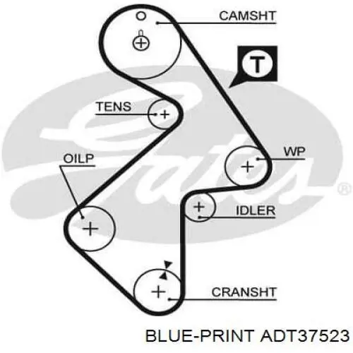 ADT37523 Blue Print correa distribucion