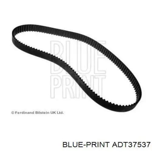 Comprar CT876 Continental/Siemens Correa distribución