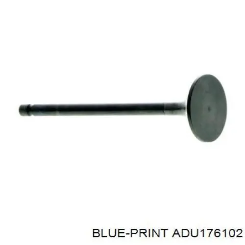 ADU176102 Blue Print válvula de admisión