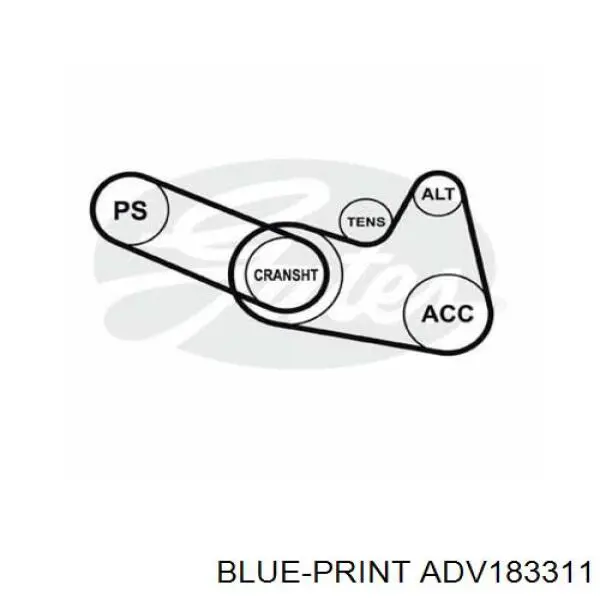 Separador de embrague VAG 55141124J precio, desde 10,67 EUR