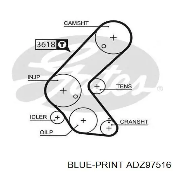 ADZ97516 Blue Print correa distribucion