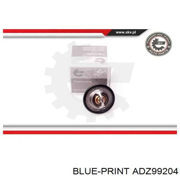 Termostato, refrigerante Renault Laguna 2 BG0, BG1