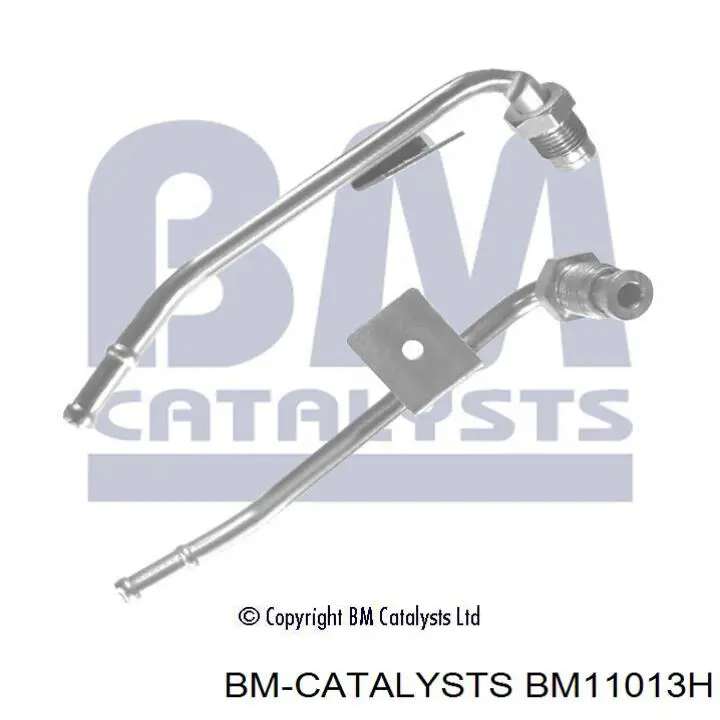 BM11013H BM Catalysts