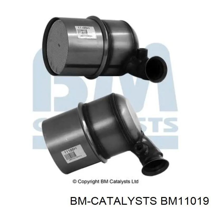 BM11019 BM Catalysts