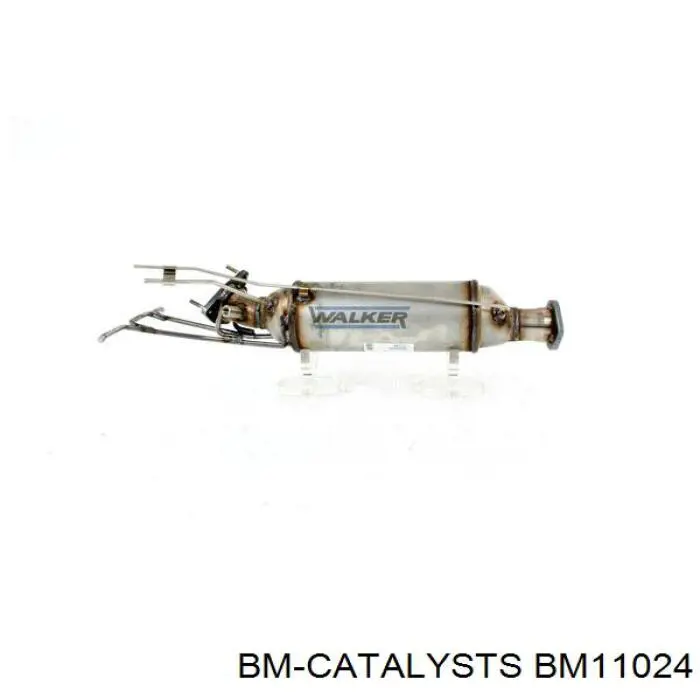 BM11024 BM Catalysts