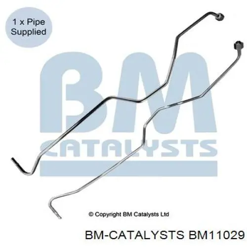 BM11029 BM Catalysts