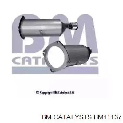 BM11137 BM Catalysts