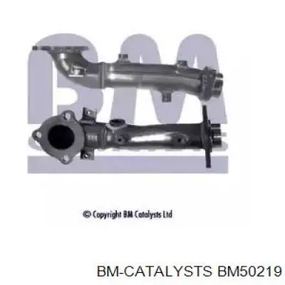 BM50219 BM Catalysts silenciador del medio