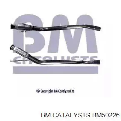 Comprar BM50226 BM Catalysts Silenciador central