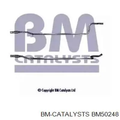 Comprar BM50248 BM Catalysts Silenciador central