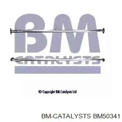 BM50341 BM Catalysts silenciador del medio