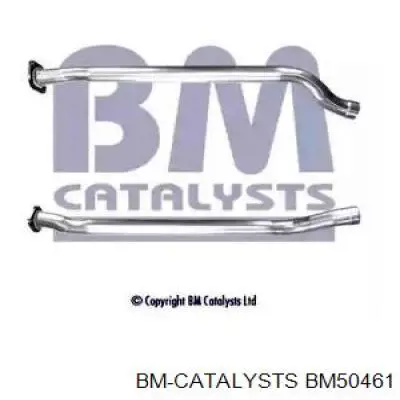 BM50461 BM Catalysts