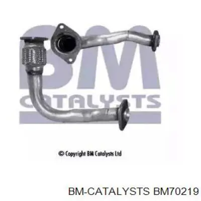 Comprar BM70219 BM Catalysts Tubo de admisión del silenciador de escape delantero