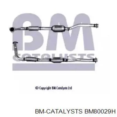 Catalizador BM Catalysts BM80029H precio, desde 190,53 EUR