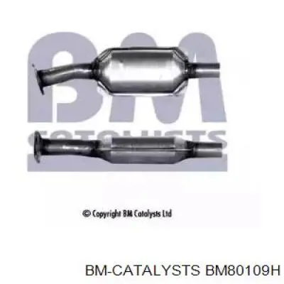 Comprar BM80109H BM Catalysts Catalizador