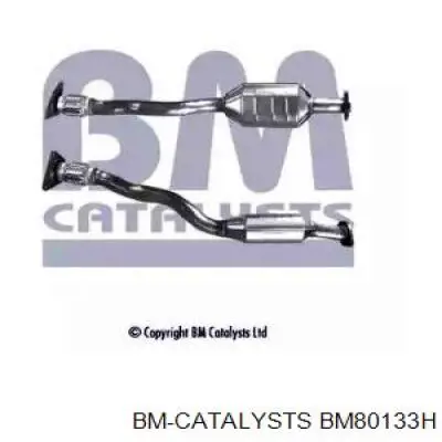 Comprar BM80133H BM Catalysts Catalizador