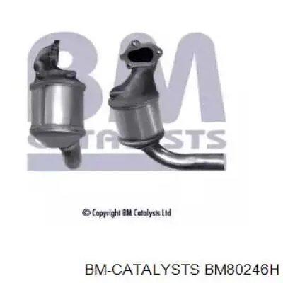 Comprar BM80246H BM Catalysts Catalizador