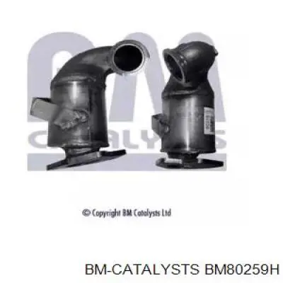 Catalizador Fiat/Alfa/Lancia 55185920 precio, desde 161,17 EUR