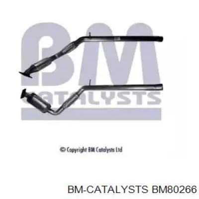 1690893 Ford Catalizador de gasolina y diésel