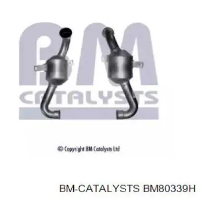 BM80339H BM Catalysts catalizador