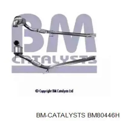 BM80446H BM Catalysts