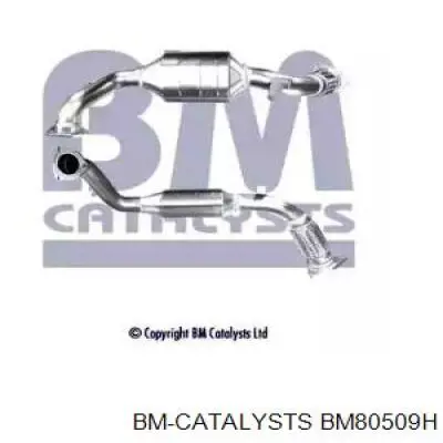BM80509H BM Catalysts catalizador