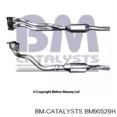 Tubo de escape delantero BM Catalysts BM90529H precio, desde 154,77 EUR