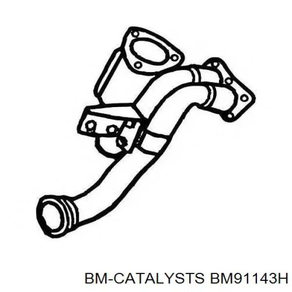  Catalizador Citroen C5 1