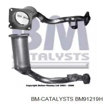 BM91219H BM Catalysts catalizador