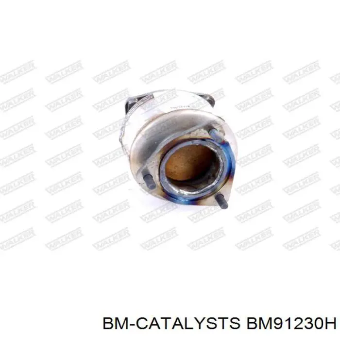BM91230H BM Catalysts catalizador