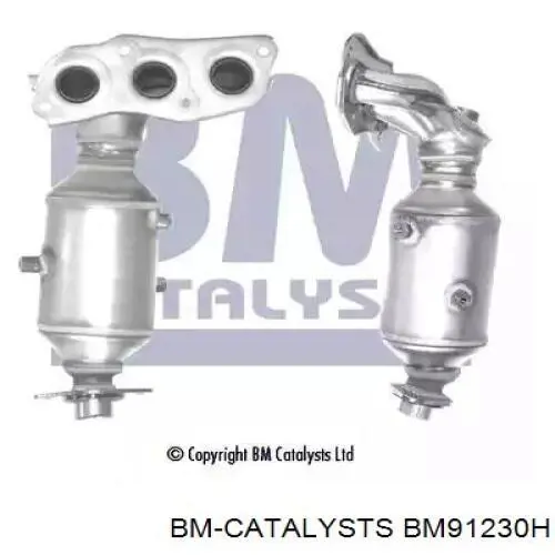 Catalizador 50013 AS/Auto Storm