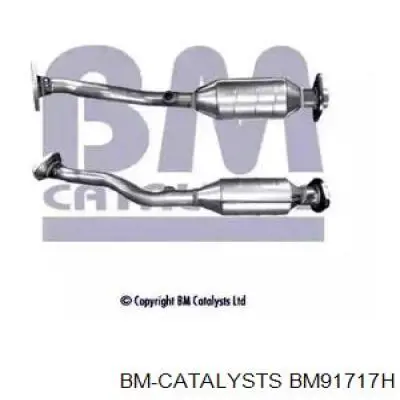 BM91717H BM Catalysts