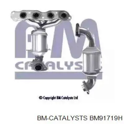 S431I36 NPS Catalizador de gasolina y diésel