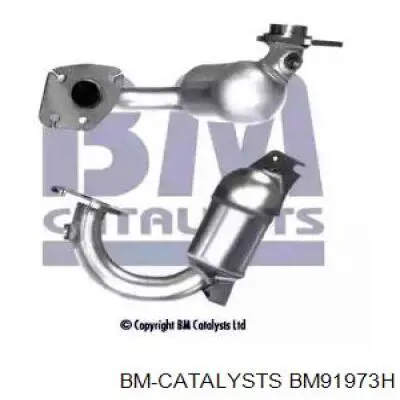 Catalizador Renault (RVI) 8200835917 precio, desde 452,60 EUR