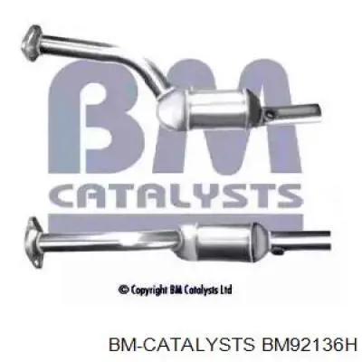 200101697R Renault (RVI) Catalizador de gasolina y diésel