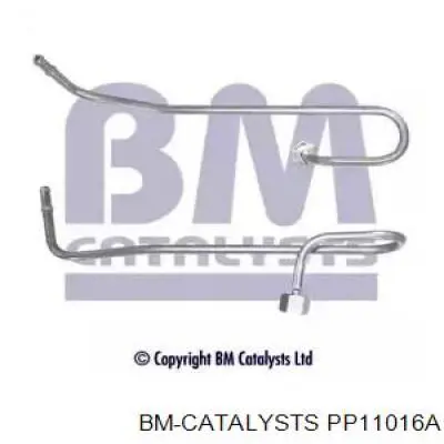 PP11016A BM Catalysts